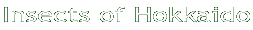 kC̍