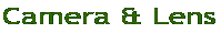 JƃYȂ