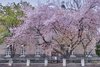 100508_IMG_3425_3_4